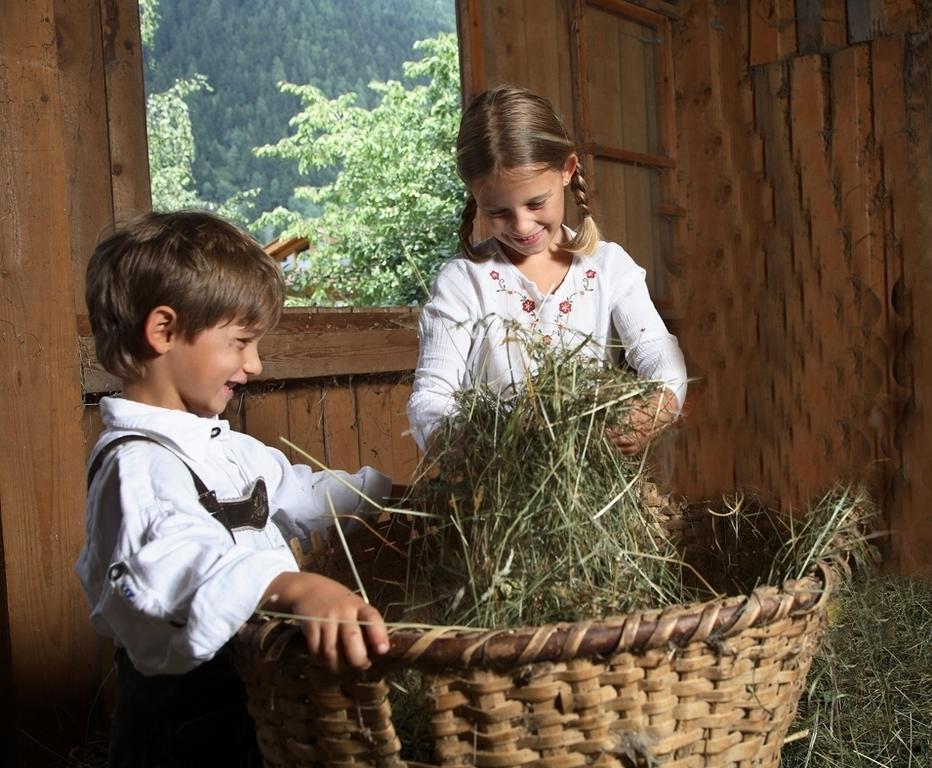 Appartements Michaela Neustift im Stubaital Exteriér fotografie